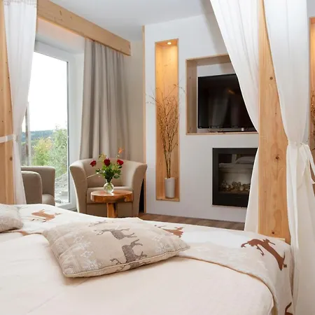 Fernsicht Hotel 3*